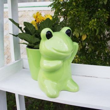 Chậu gốm trồng cây Frog