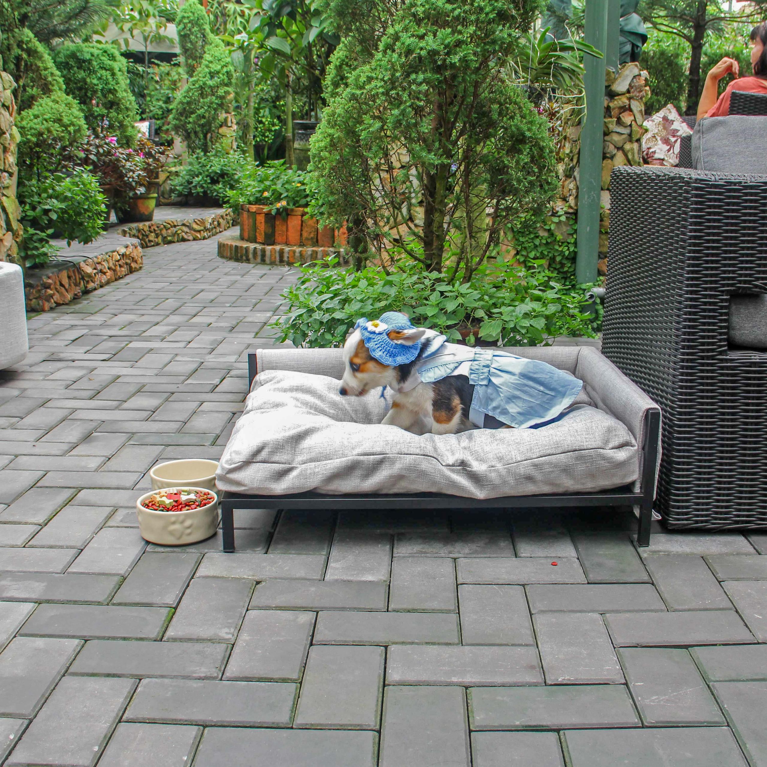 Teddy Rectangle Metal Sofa Pet - Cream