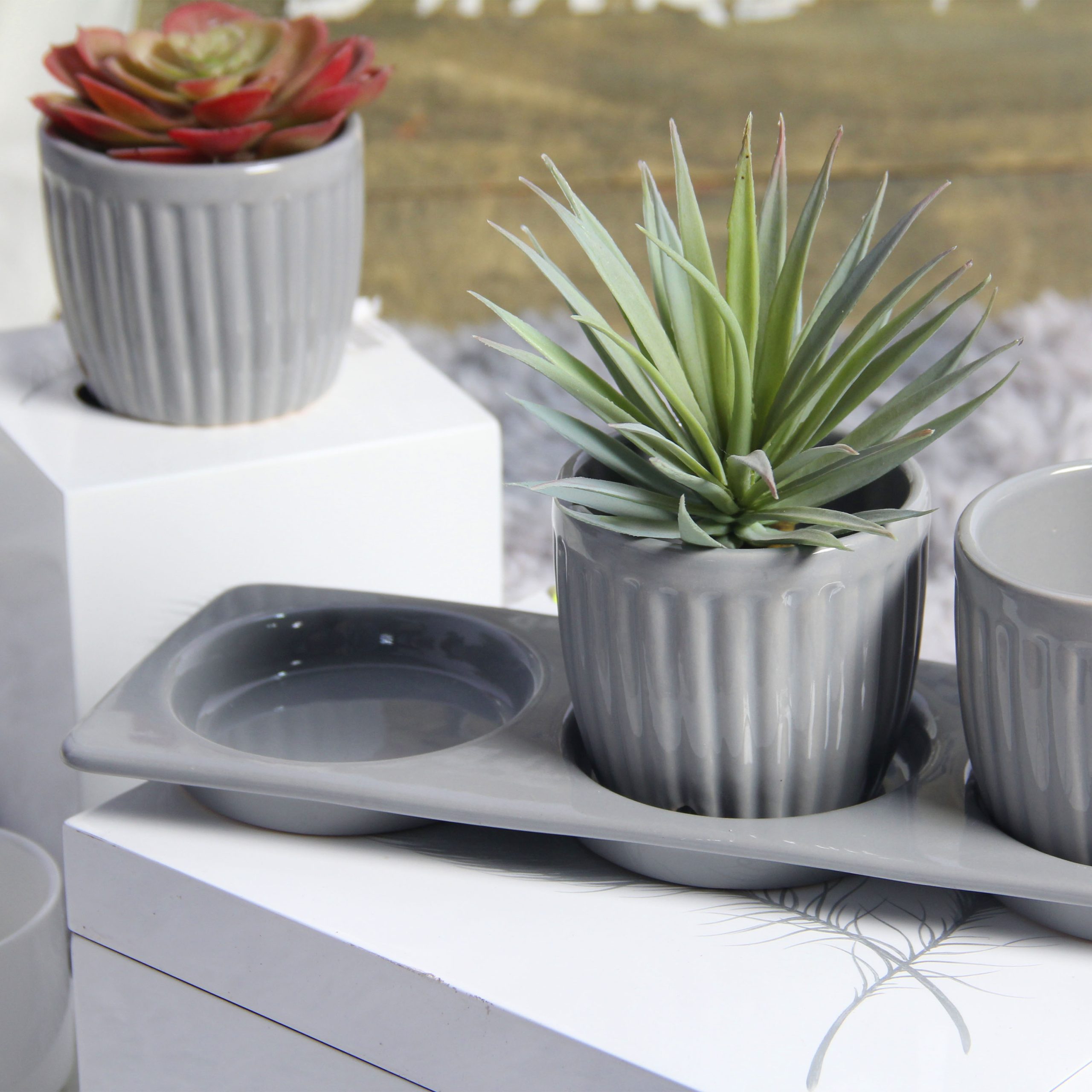 Chậu Gốm Mini Gerbera xọc Kèm Dĩa - Xám Nhạt(Set of 3)