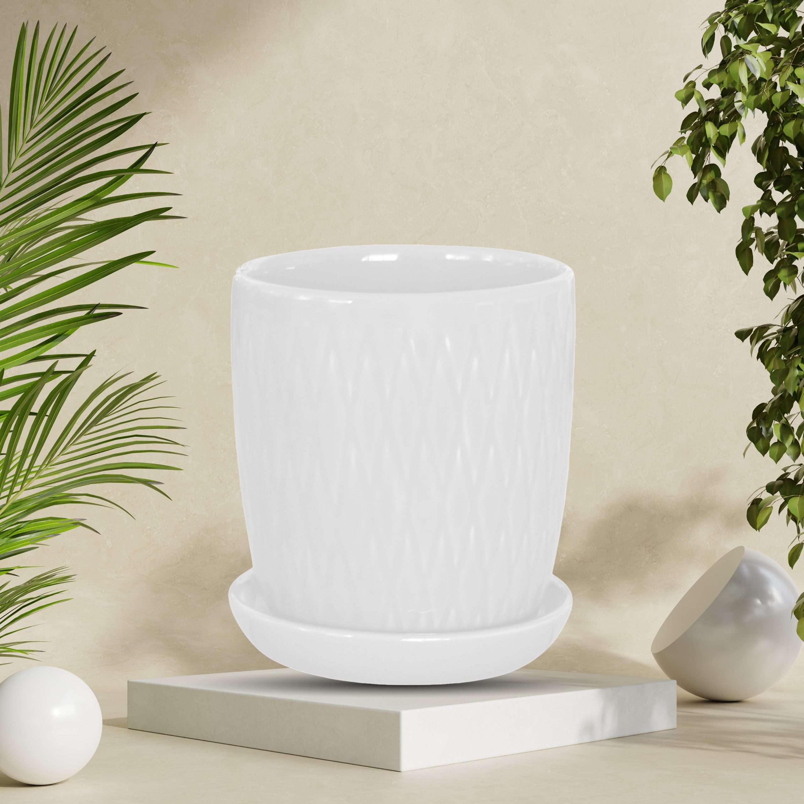 Chậu Gốm trồng cây Mini Benally