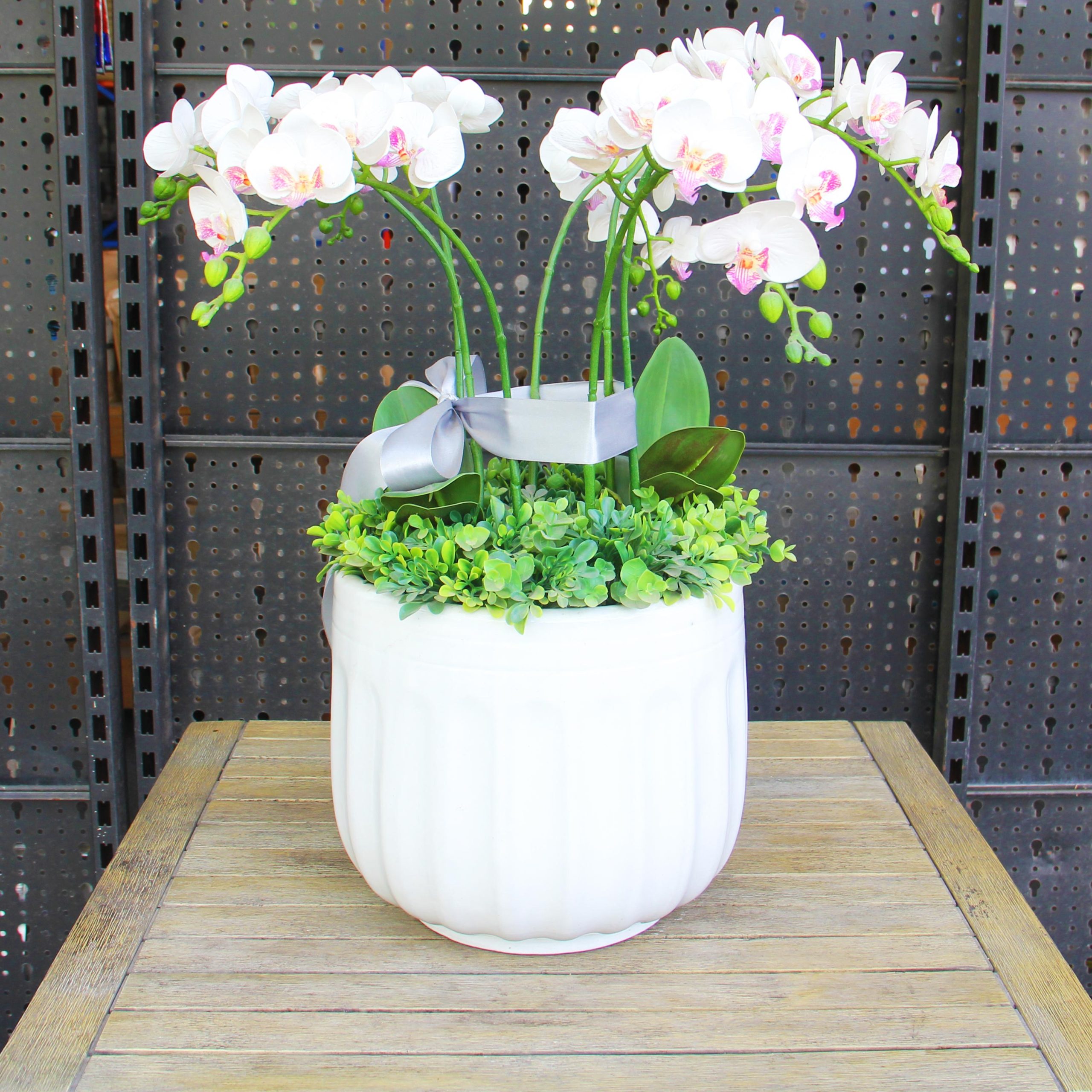 Chậu gốm trồng cây Moongo