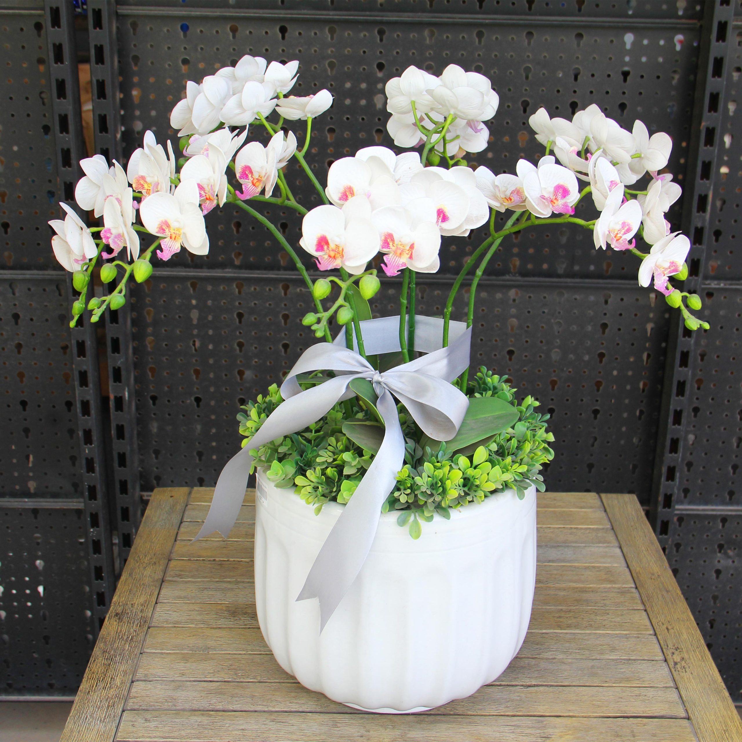 Chậu gốm trồng cây Moongo