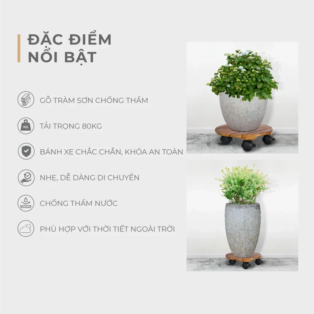 Đế Lót Chậu Cây Có Bánh Xe