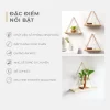 Kệ Treo Tường Gỗ Thông kèm dây thừng