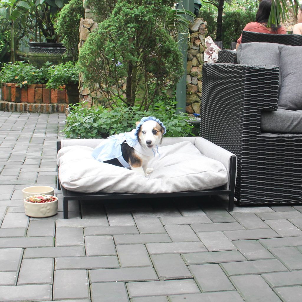 Teddy Rectangle Metal Sofa Pet - Cream