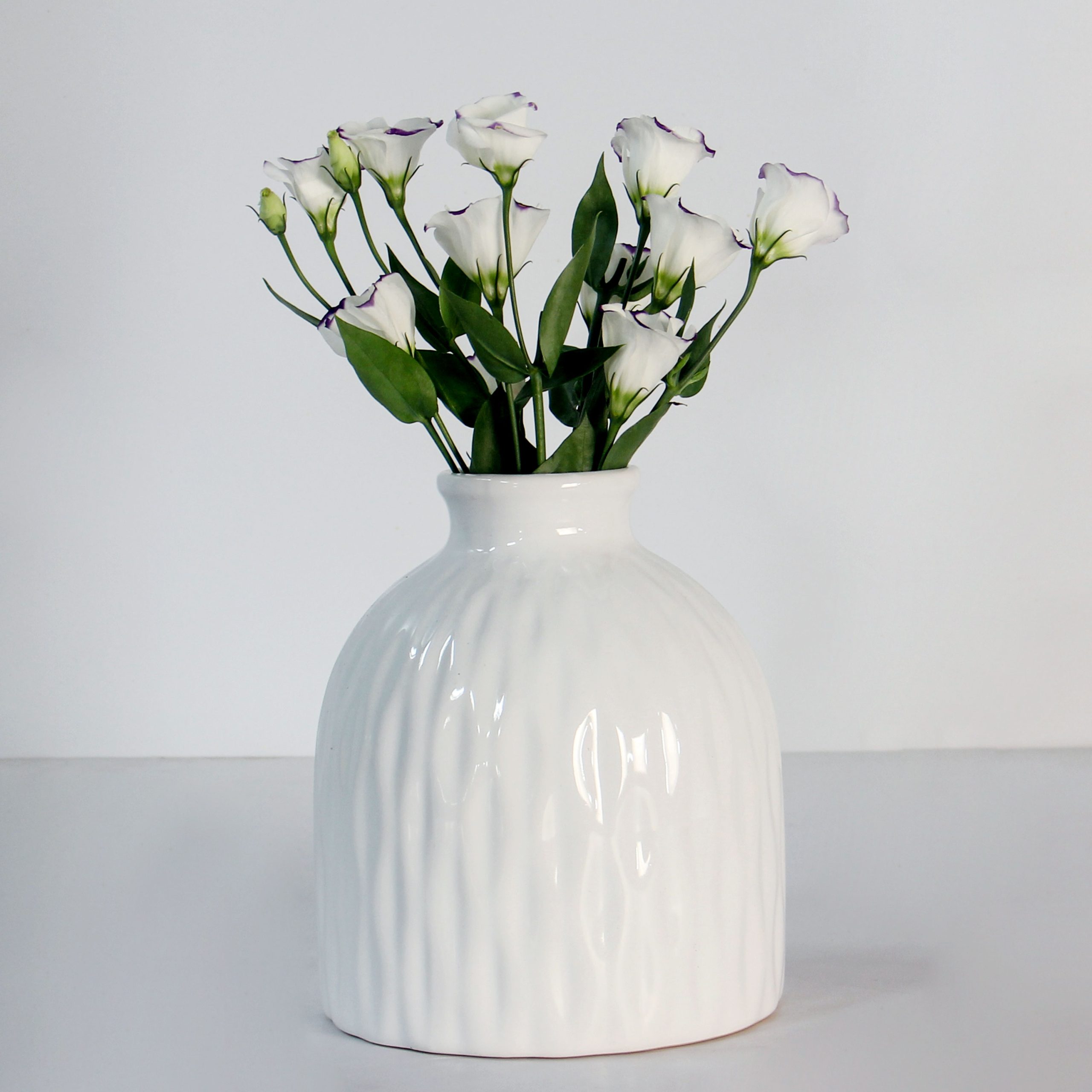 Bình Gốm Ivory hoa văn sọc