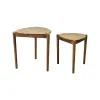 Bàn Trà - Bàn Cà Phê - Set of 2