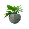Chậu gốm chấm xanh đỏ Lava