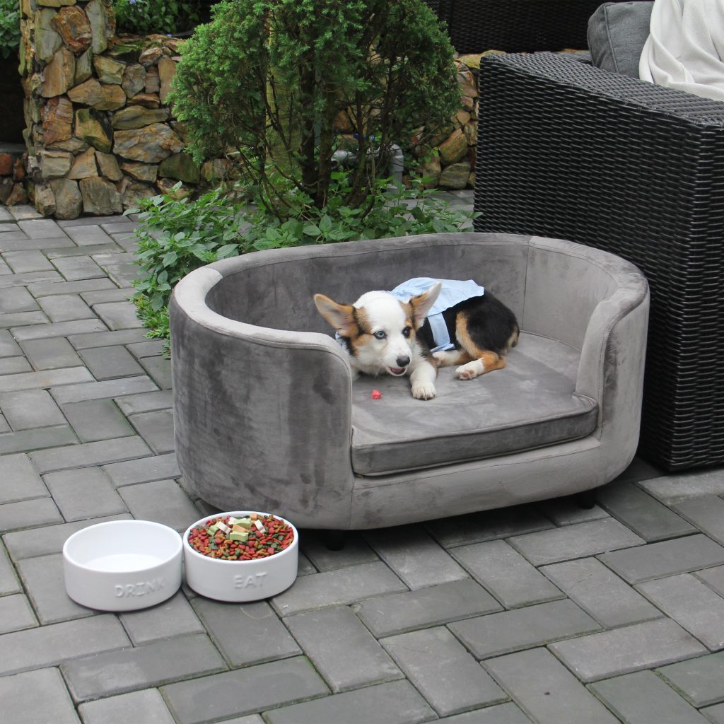 Buddy Oval Sofa Pet