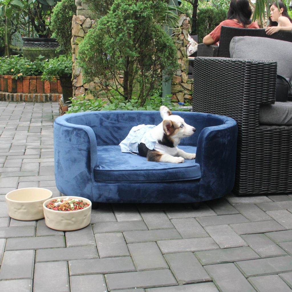 Buddy Oval Sofa Pet