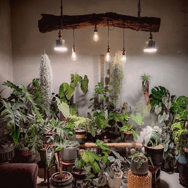 Những Dụng Cụ Tiện Lợi Trong Chăm Sóc Cây Cảnh 3 Những Dụng Cụ Tiện Lợi Trong Chăm Sóc Cây Cảnh