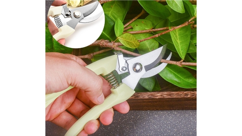 Những Dụng Cụ Tiện Lợi Trong Chăm Sóc Cây Cảnh 1 Những Dụng Cụ Tiện Lợi Trong Chăm Sóc Cây Cảnh