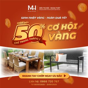 50% OFF – CƠ HỘI VÀNG CHỈ TRONG THÁNG 1!
