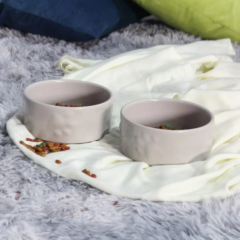 Chén Ăn Thú Cưng: Top Mẫu Bền Đẹp, An Toàn Và Tiện Lợi